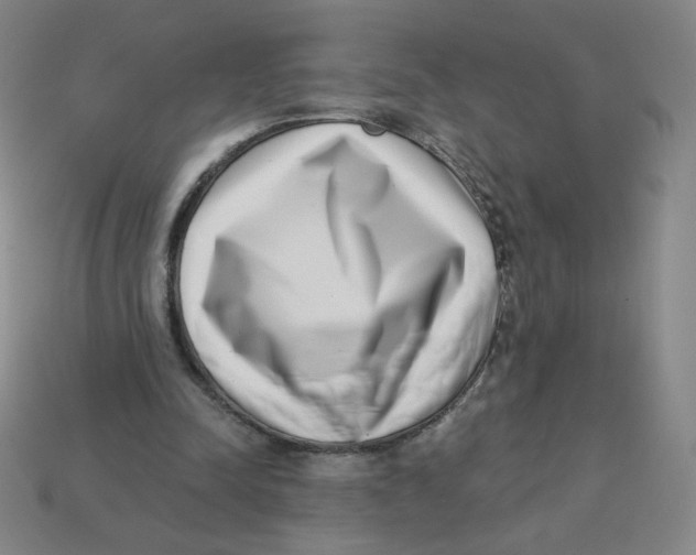 X0000113320342200910131133