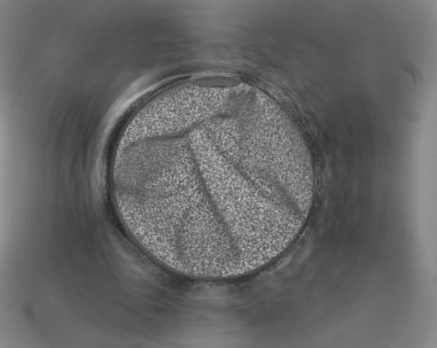 X0000113320343200910131133