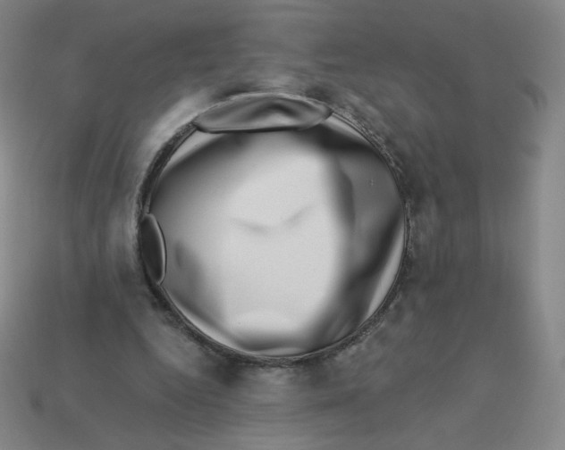 X0000113320344200910131133