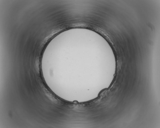 X0000113320345200910131133