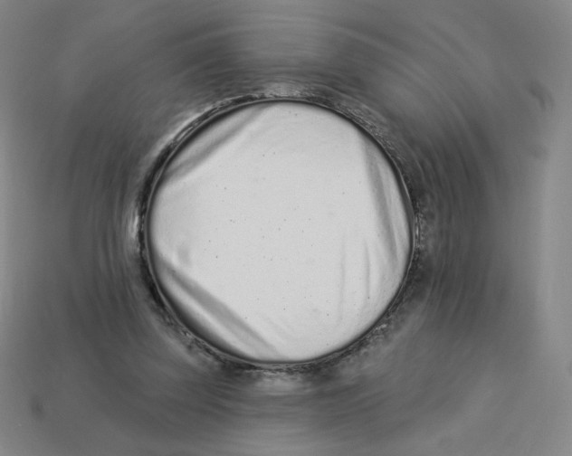 X0000113320347200910131133