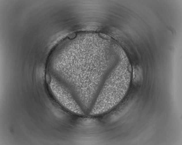 X0000113320348200910131133