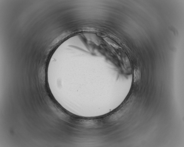 X0000113320349200910131133