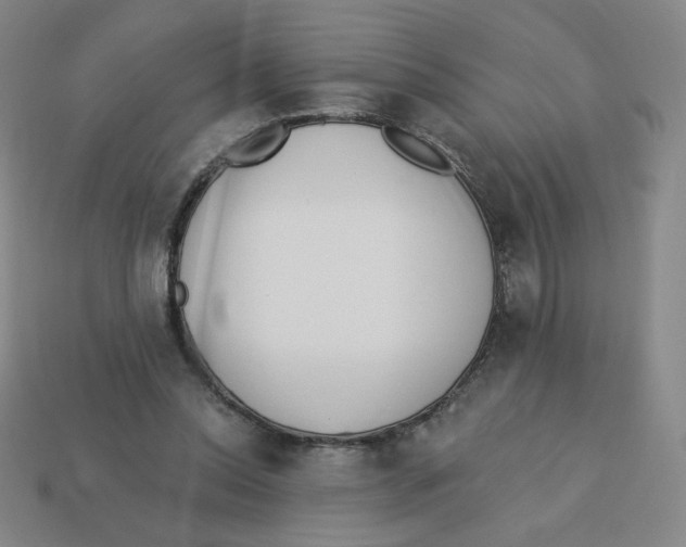 X0000113320350200910131133