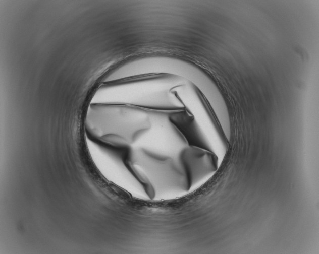 X0000113320352200910131133