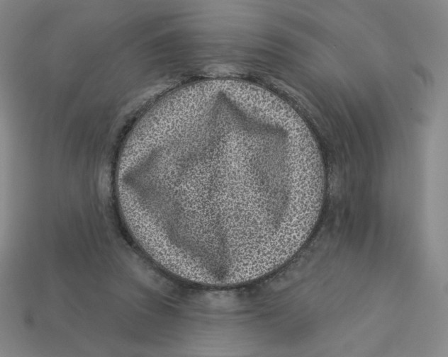 X0000113320353200910131133