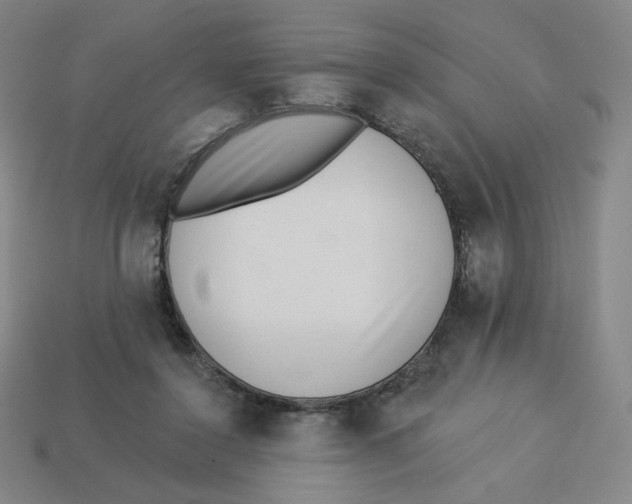 X0000113320356200910131133