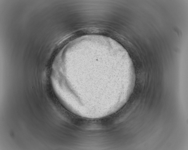 X0000113320359200910131133