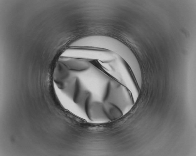 X0000113320362200910131133