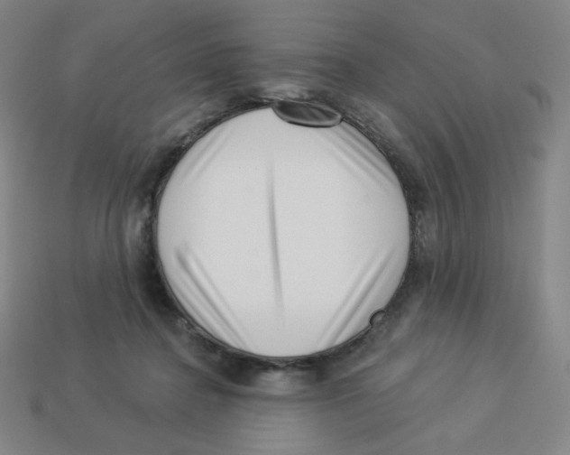 X0000113320364200910131133