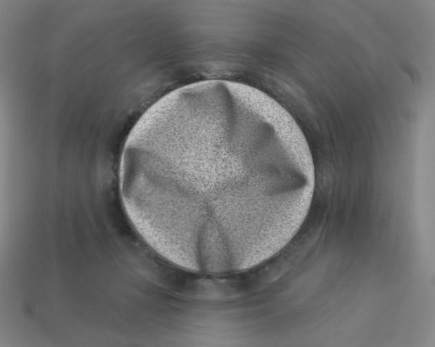 X0000113320367200910131133