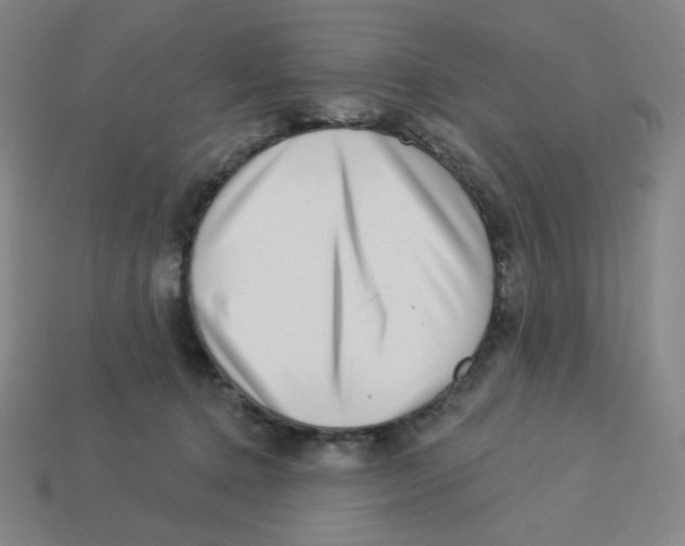 X0000113320368200910131133