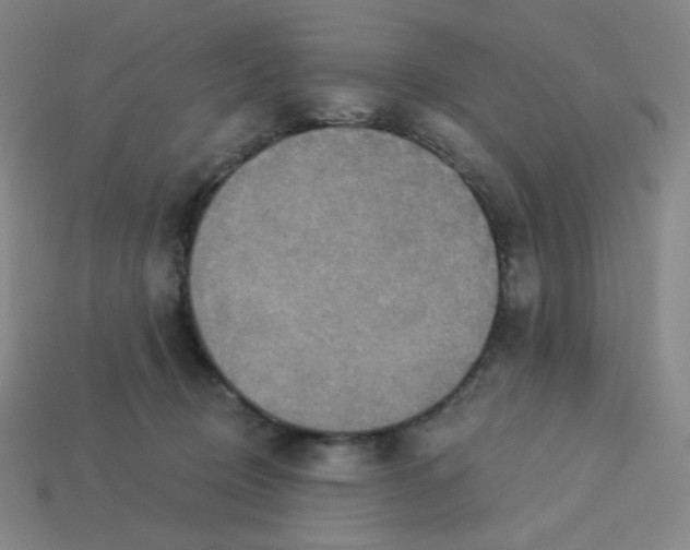 X0000113320370200910131133