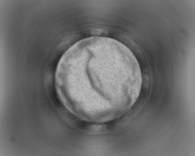 X0000113320375200910131133