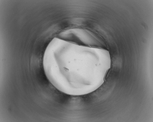 X0000113320376200910131133