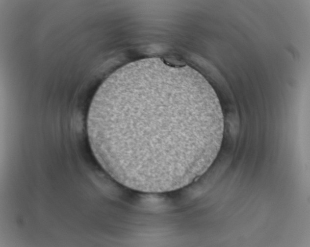 X0000113320380200910131133