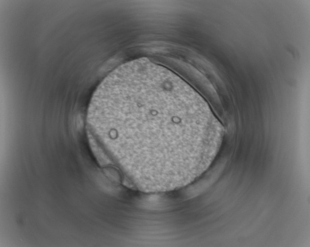 X0000113320382200910131133