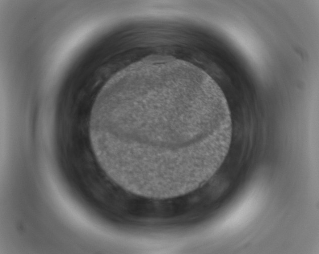 X0000113320383200910131133