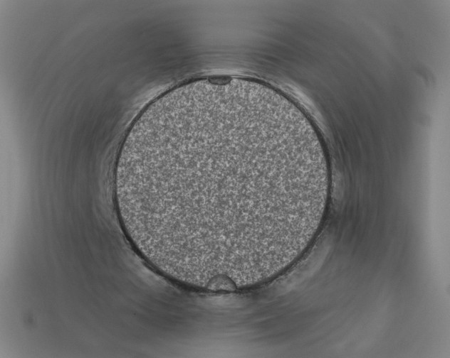 X0000113320385200910131132