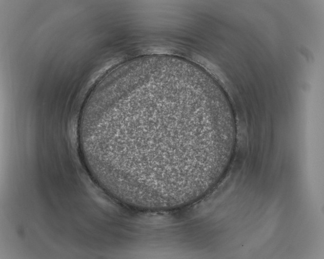 X0000113320386200910131132