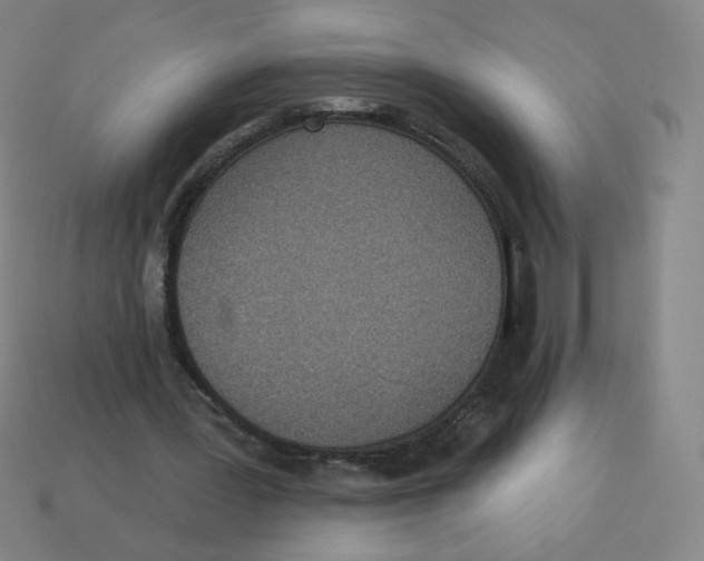 X0000113320387200910131132