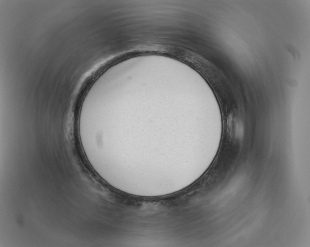 X0000113320388200910131132