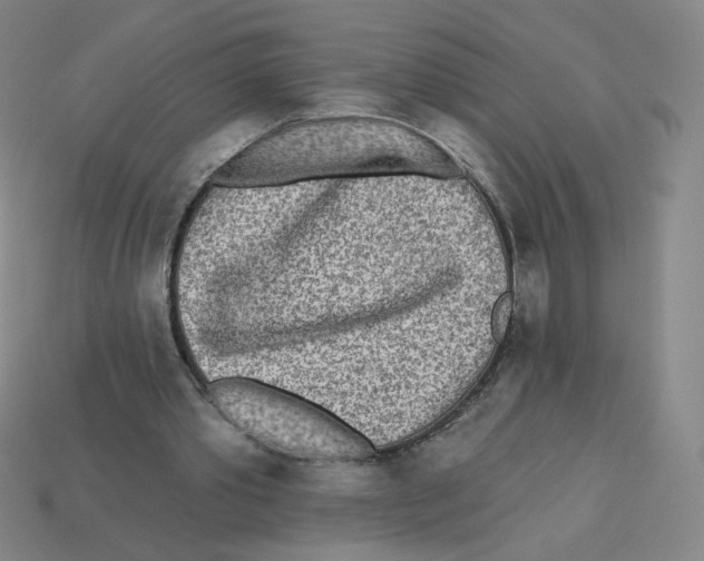 X0000113320389200910131132