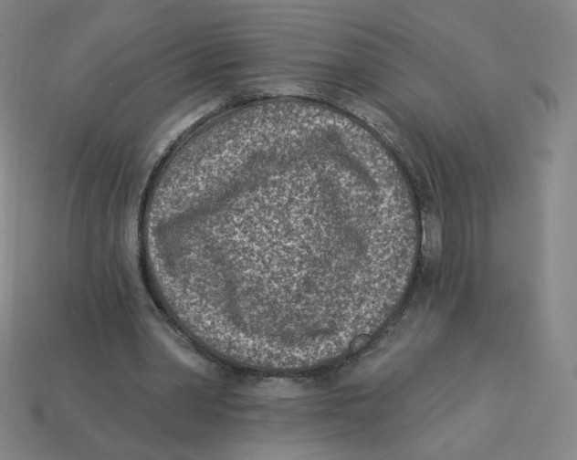 X0000113320390200910131132