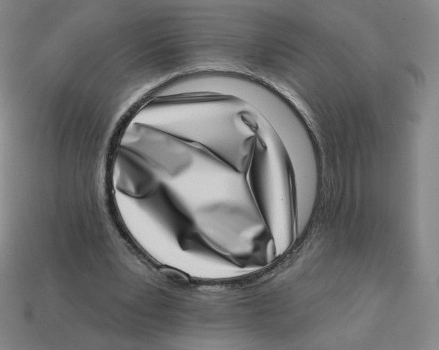 X0000113320391200910131132