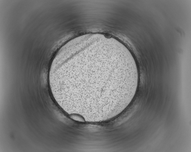 X0000113320393200910131132