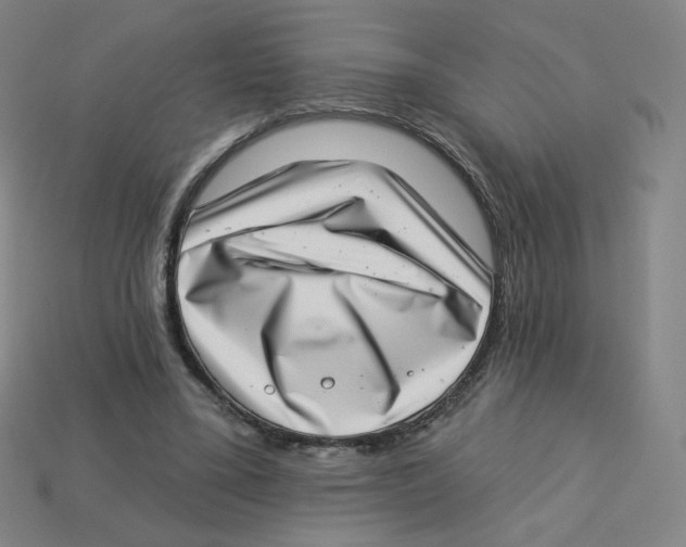 X0000113320395200910131132