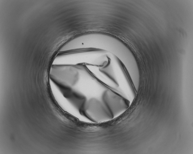 X0000113320397200910131132