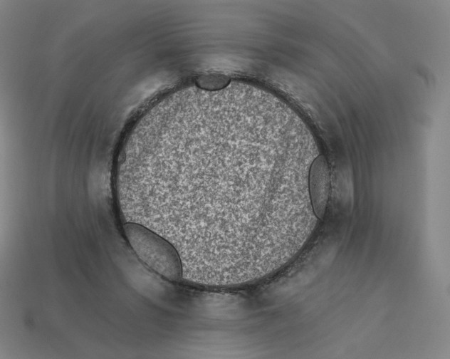 X0000113320399200910131132