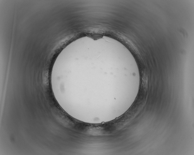 X0000113320403200910131132