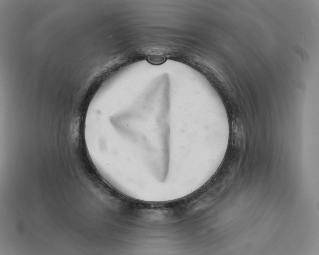 X0000113320404200910131132