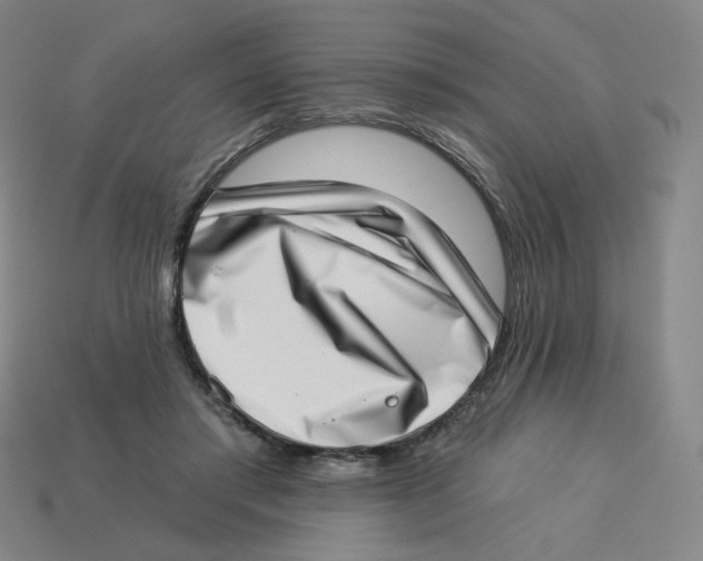 X0000113320405200910131132