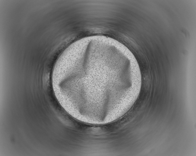 X0000113320406200910131132