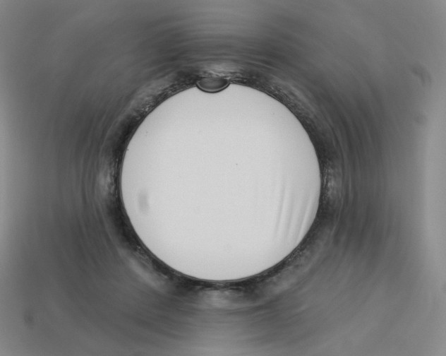 X0000113320408200910131132