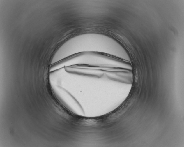 X0000113320409200910131132