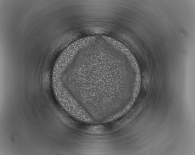 X0000113320410200910131132