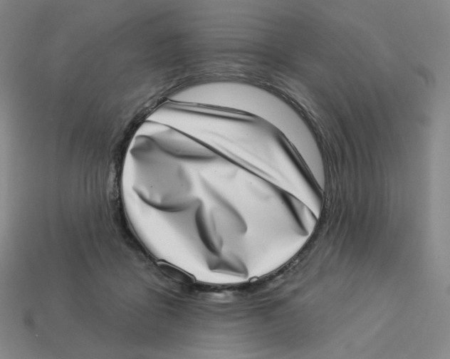 X0000113320411200910131132