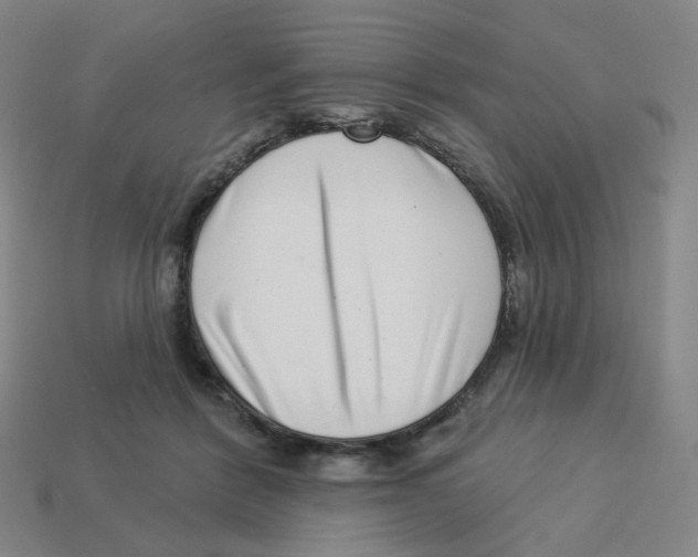 X0000113320412200910131132