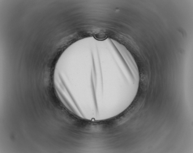 X0000113320416200910131132