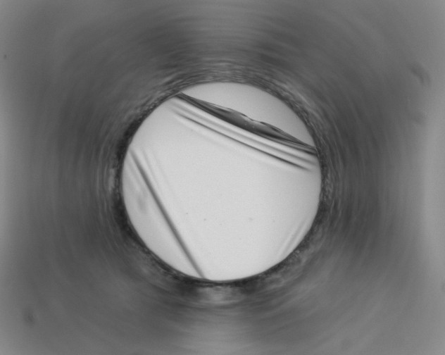 X0000113320417200910131132