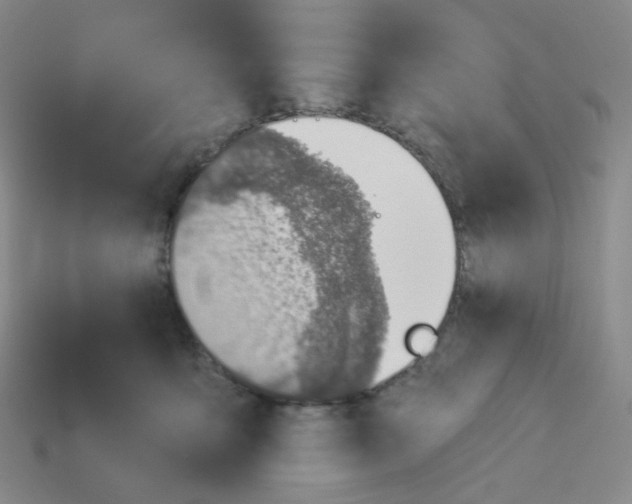 X0000113320419200910131132