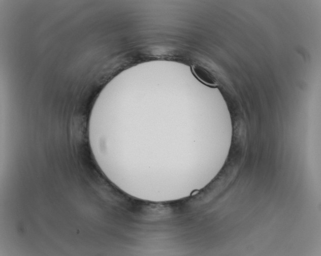 X0000113320421200910131132