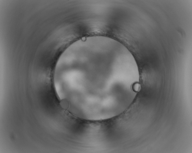 X0000113320423200910131132