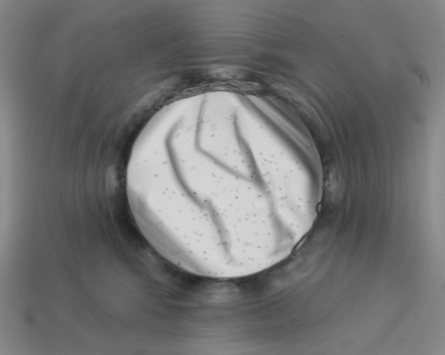 X0000113320424200910131132