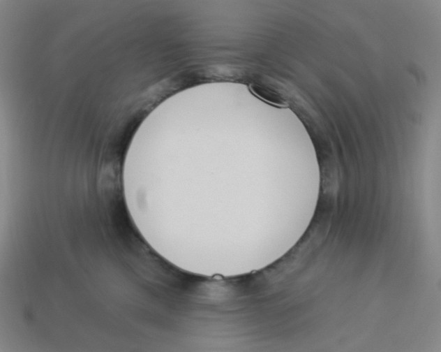 X0000113320425200910131132