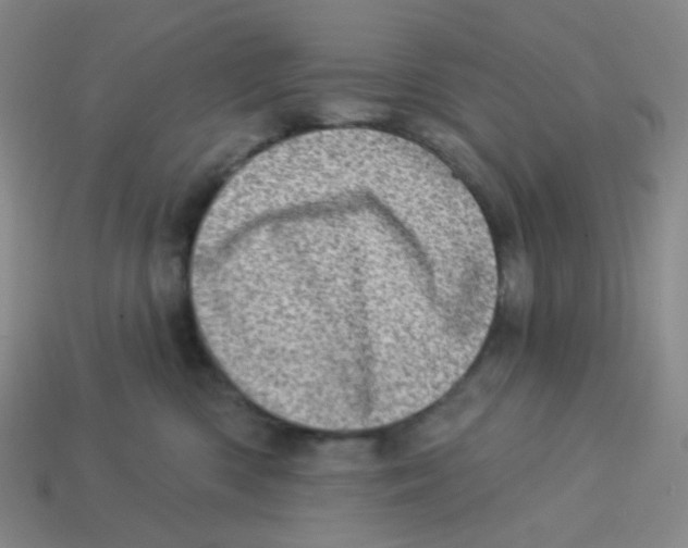 X0000113320426200910131132